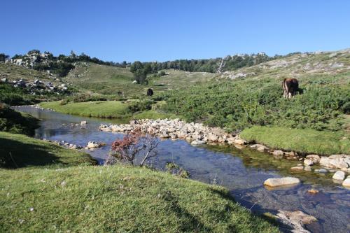 CORSE GR 20
