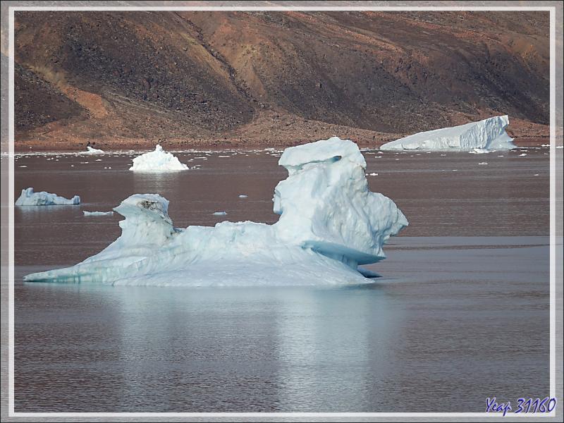 Un drôle de personnage givré dérive dans le Fjord Bowdoin - Qaanaaq - Groenland