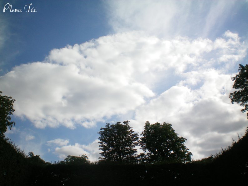 Image026.jpg