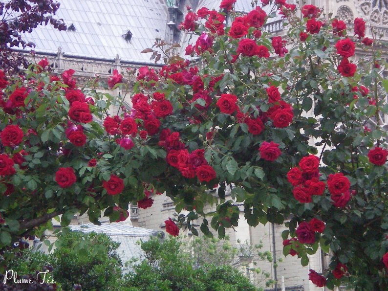Image030.jpg