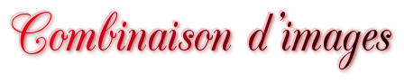 Combinaison d'image