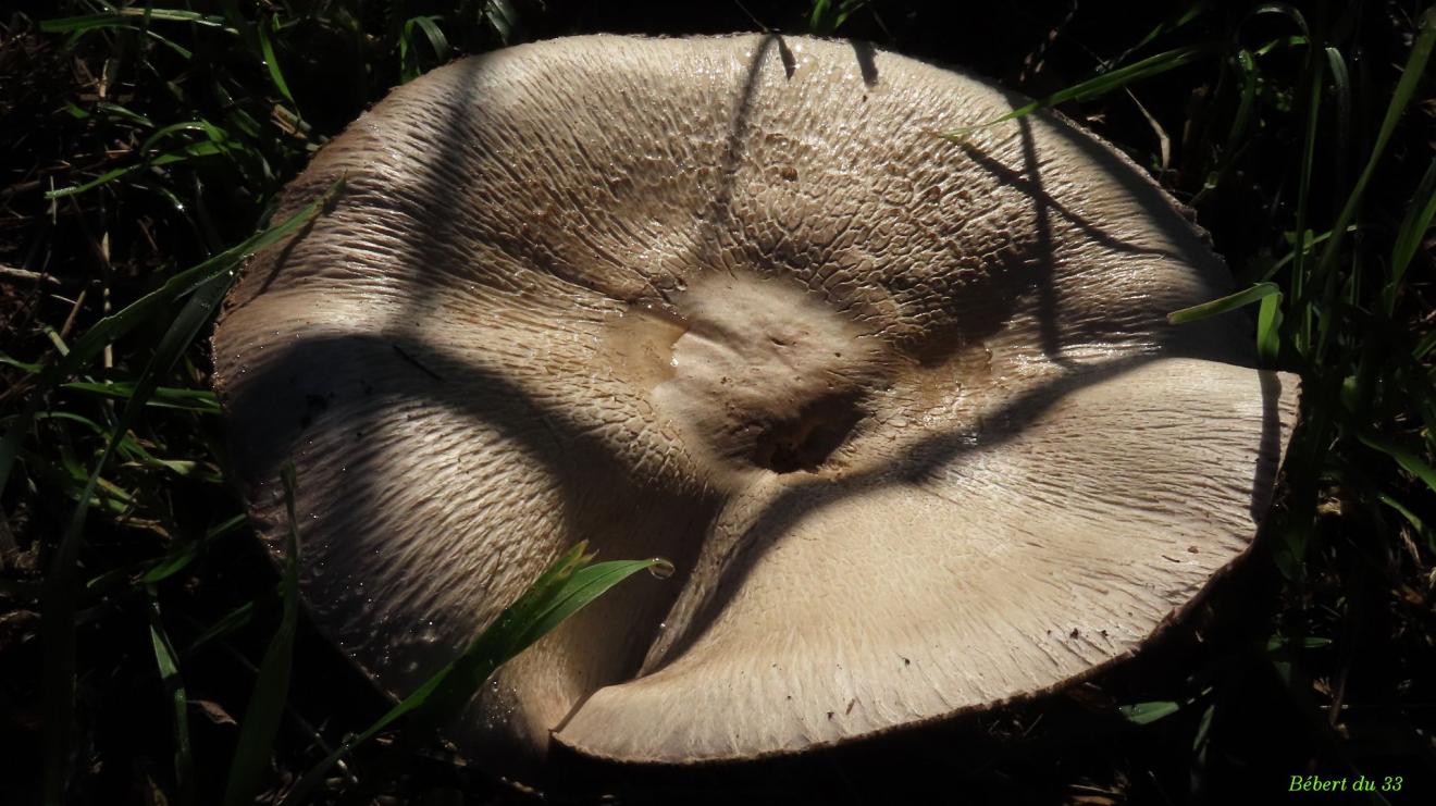 mes photos plaisir d'Octobre 