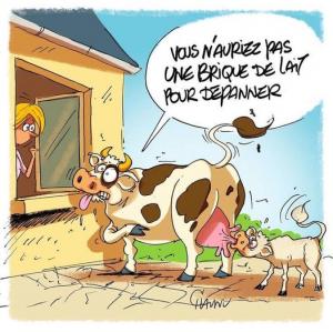 ღ꧁ღ╭⊱ꕥ Avec Humour ! ꕥ⊱╮ღ꧂ღ