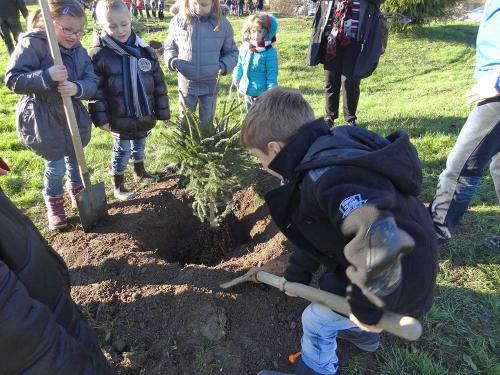 Plantation d'un arboretum à la Maison de la Forêt