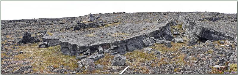 07/06/2023 : nous nous dirigeons vers le Blue Lagoon tout en faisant de la géologie, de la botanique ou de l'ornithologie lorsque l'occasion se présente - Péninsule de Reykjanes - Islande