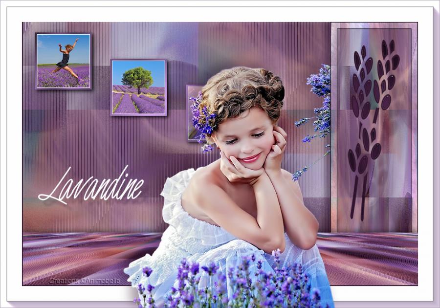 Lavandine