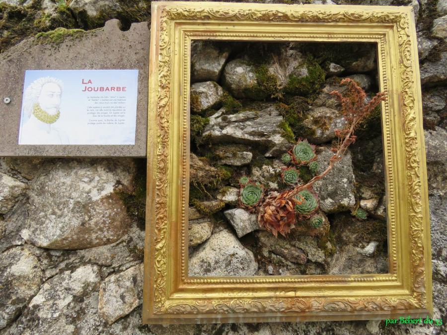 Fraïsse sur l'Agout (34) -3