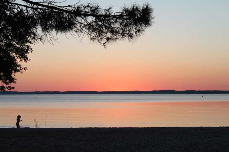 811 - Arrêt sur images au Lac de Cazaux-Sanguinet (40)