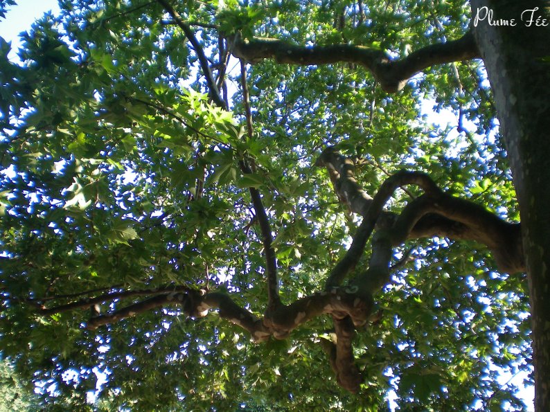 Image012.jpg