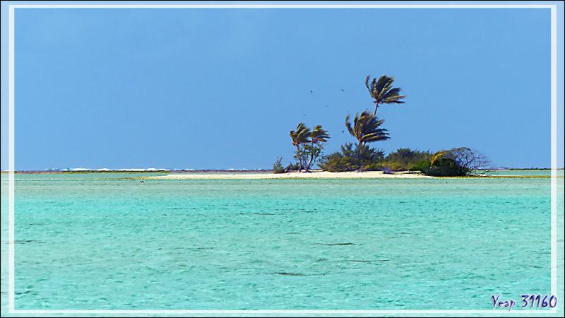 Un motu très beau mais trop petit pour un Robinson - Sud de Fakarava (Tetamanu) - Tuamotu - Polynésie française