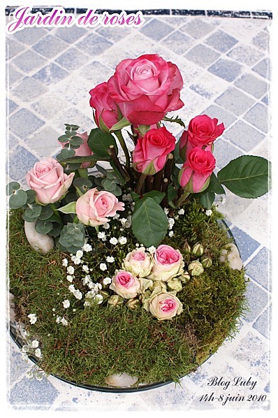 06 08 06 2010 jardin de roses (4)