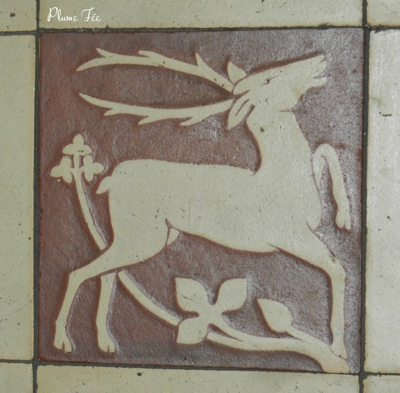Image028.jpg
