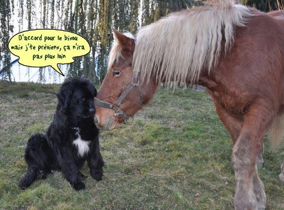 Humour du dimanche ... !!!