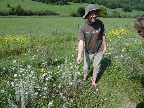 Un botaniste à Villemervry