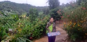 News 2 Kivu