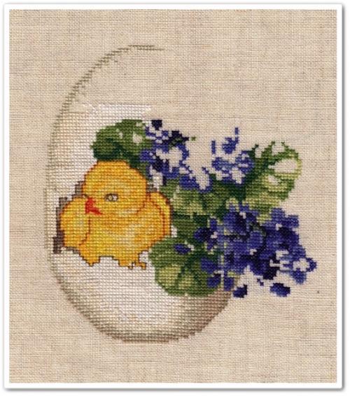 "Chicken" 5