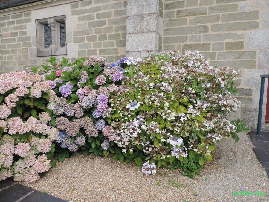 Châteauneuf du Faou - (29)
