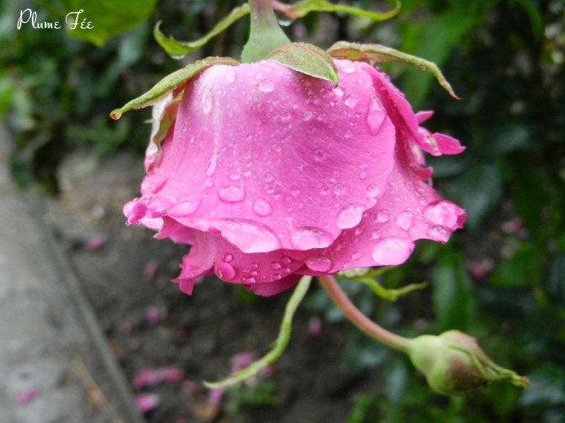 Image008.jpg