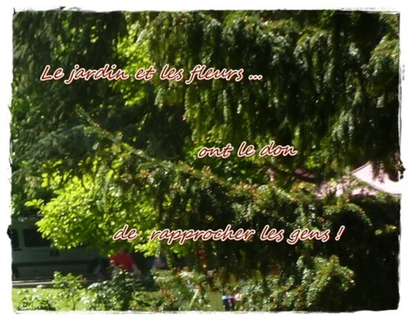 "Nuances vertes" au jardin ...
