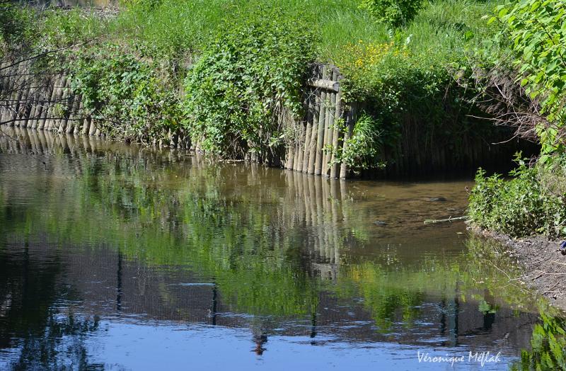 Parc naturel régional de la Vallée de Chevreuse : L'Yvette