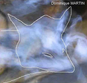 LES EMANANTS ANIMAUX 2