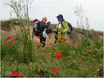 (J43) Viana / Los Arcos 17 mai 2012 (1)