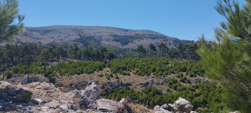 Les chemins de traverse 1/2