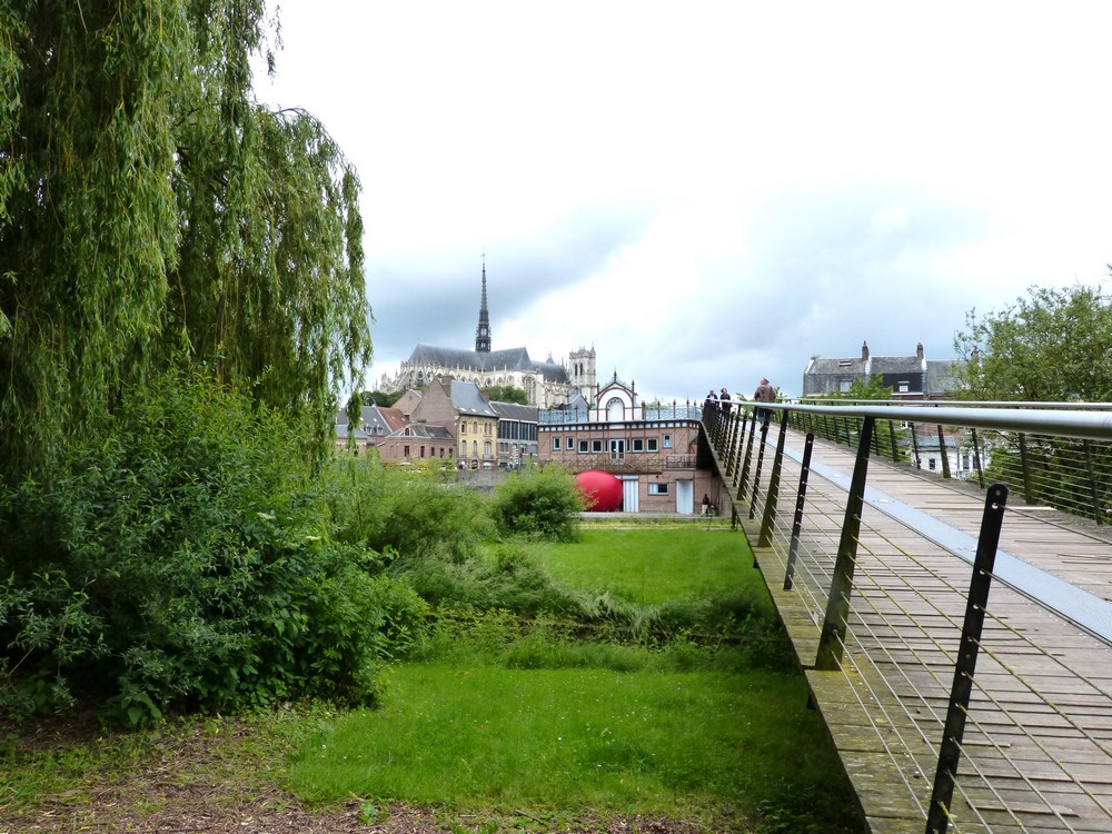 Photos autour d'un nez de clown