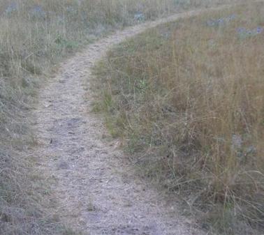 LES CERCLES CONCENTRIQUES