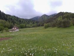 Coucou d'un samedi soir !!!!