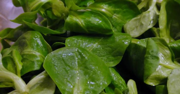 Légumes du mois d'Avril