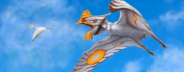 Les dinosaures volants