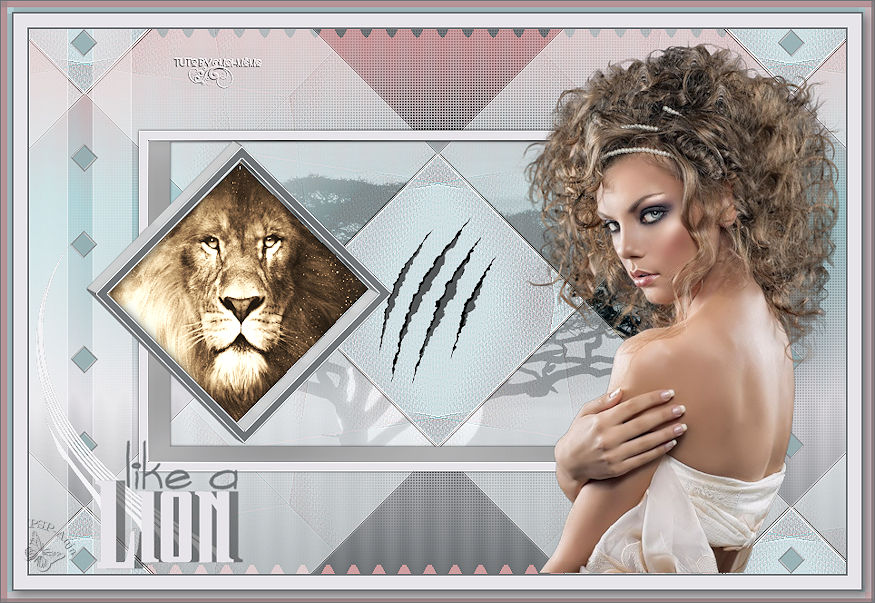 Like a Lion