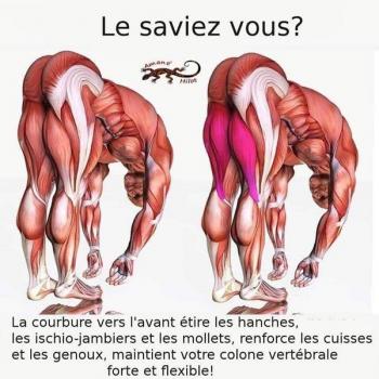 ღ꧁ღ╭⊱ꕥ  La Méditation ꕥ⊱╮ღ꧂ღ