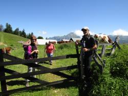 Randonnée du Vendredi 10 Juin 2022 Chalets de la Fullie