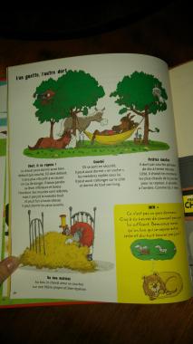 Tout sur le cheval... et le reste