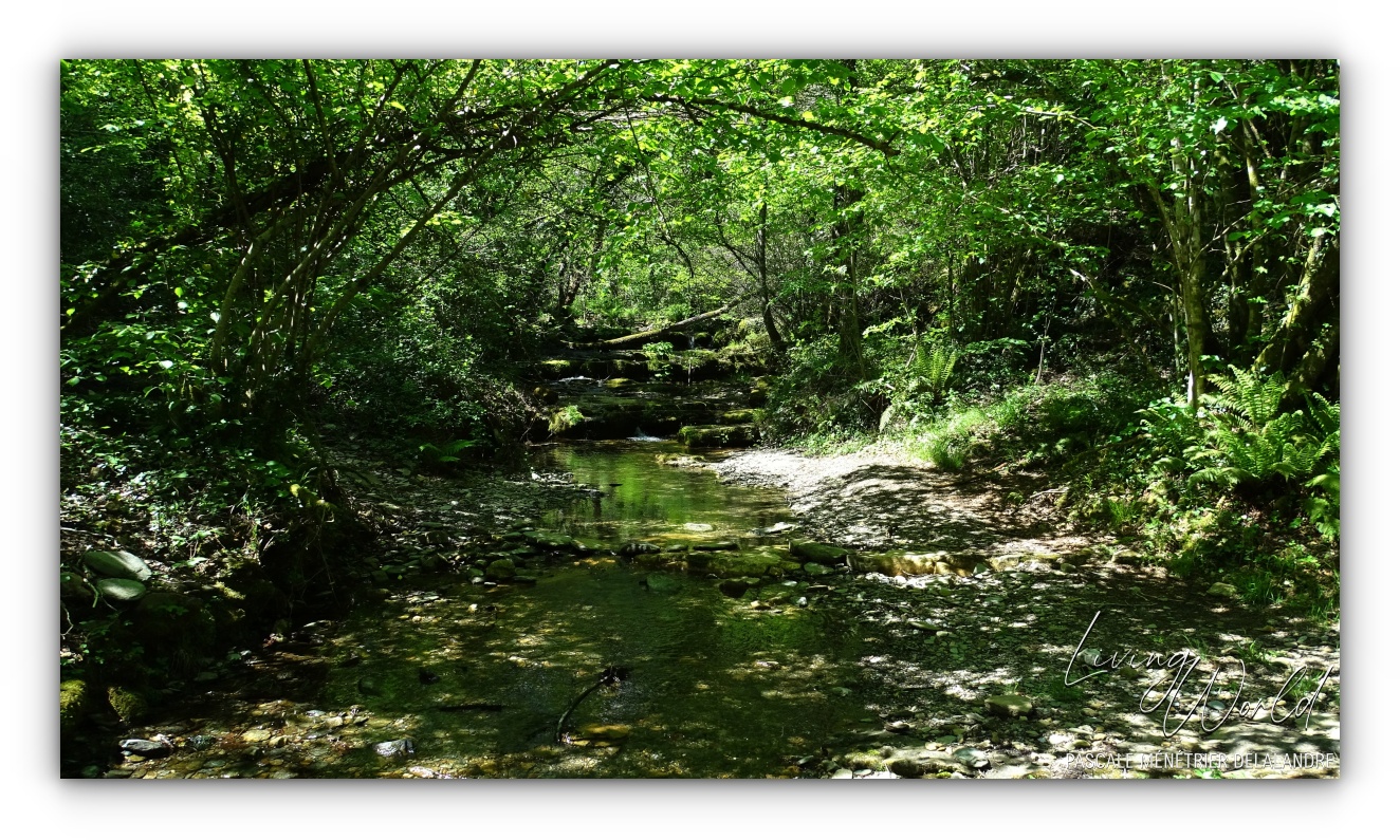 Le Rabalézain (Ruisseau de Blanaves)