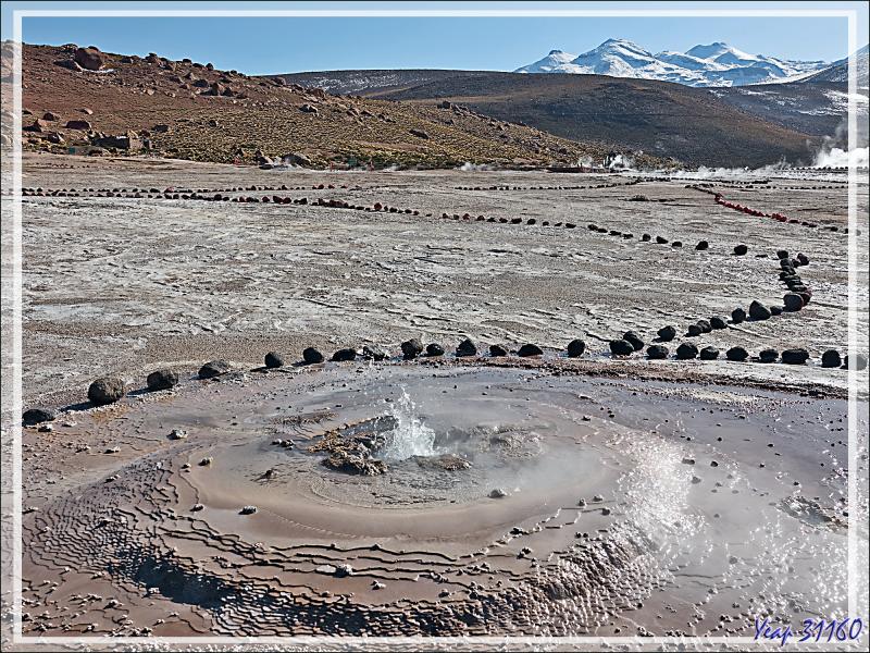 19/03/2022 : un des sites d'observation des geysers d'El Tatio - Désert d'Atacama - Chili