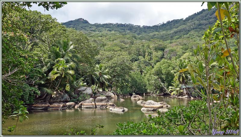 14/12/2021(suite) : seconde journée à Silhouette Island passée entre promenade dans le village et les jardins du grand complexe hôtelier voisin et baignades - Seychelles