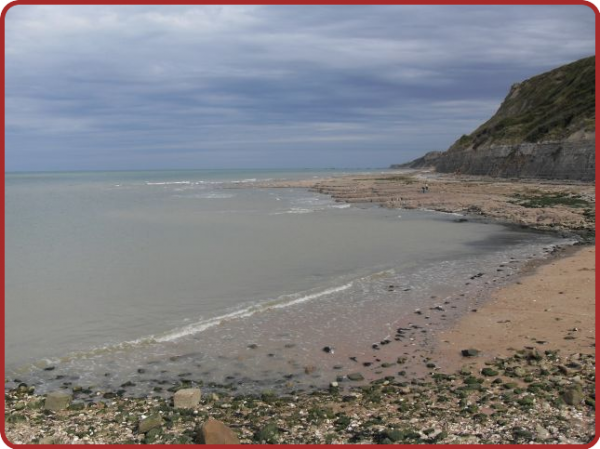 ╰⊱♥⊱╮ღ꧁ Département 88  ꧂ღ╭⊱♥≺