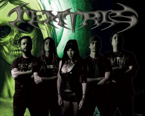 TEMTRIS_Band 2014