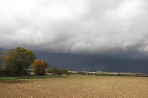 ... automne...
