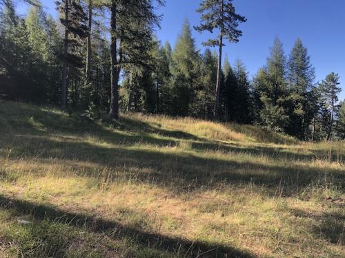 La Chau (Seyne - Montclar)