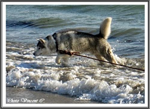 A l'eau ! (11 mai 2013)