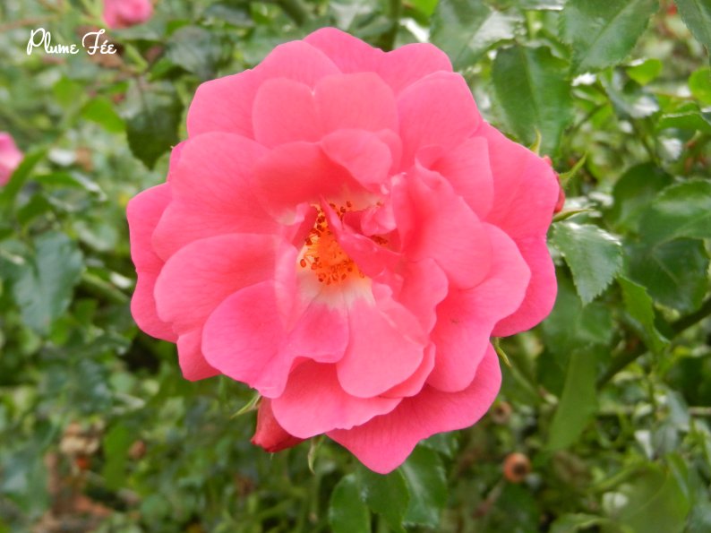 Image001.jpg
