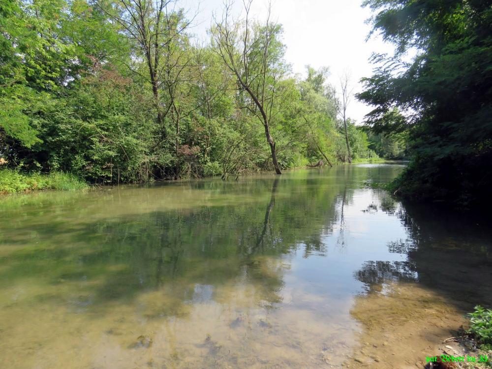 Balade à vélo depuis Fessenheim -3