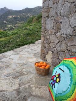 Corsica trip ! 