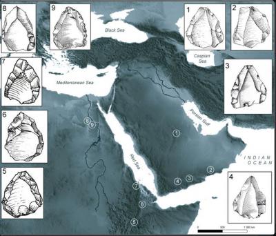 8 - L'expansion des Homo sapiens