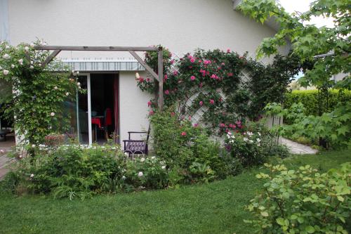 Le printemps est installé