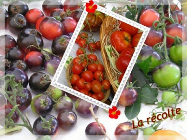Potage "verdurette" ..